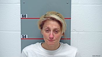 Meagan Memory Hayes Mugshot