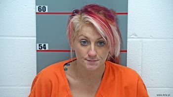 Meagan Memory Hayes Mugshot