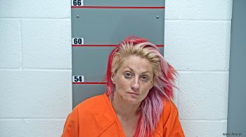 Meagan Memory Hayes Mugshot