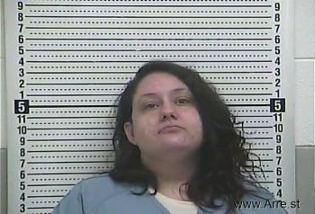 Meagan L Mcmurray Mugshot