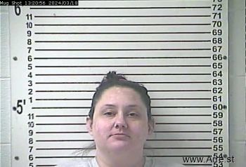 Meagan Leigh Mcmurray Mugshot