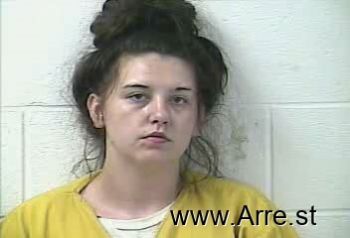 Megan Lashay Cook Mugshot