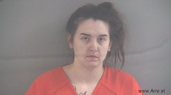 Megan Lashay Cook Mugshot