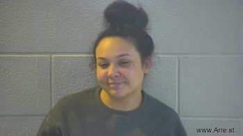 Megan Ashley Cook Mugshot