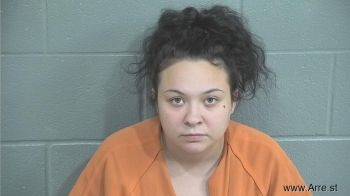 Megan Ashley Cook Mugshot