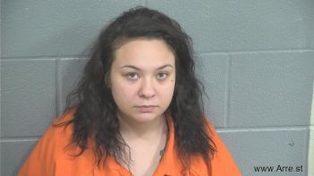 Megan Ashley Cook Mugshot