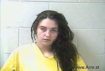 Megan Lashay Cook Mugshot