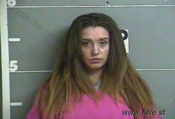 Megan Lashay Cook Mugshot