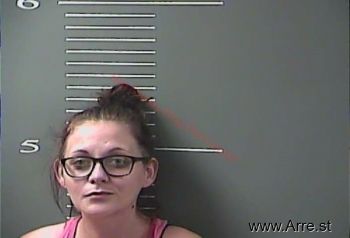 Megan  Davis Mugshot