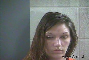 Megan E Davison Mugshot