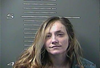 Megan  Howard Mugshot