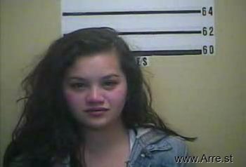 Megan N Lawson Mugshot