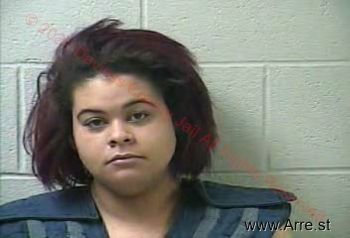 Megan Fay Palmer Mugshot