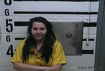 Megan Paige Parchman Mugshot