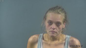 Megan Lynn Sowders Mugshot