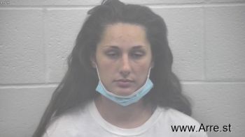 Megan Renee Williams Mugshot