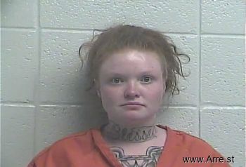 Megan  Willis Mugshot