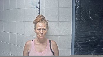 Meghan A Williams Mugshot