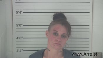 Megin Marie Gray Mugshot