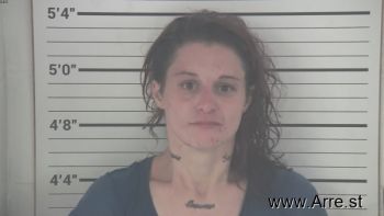 Megin Marie Gray Mugshot