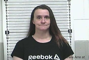 Melissa A Adkins Mugshot