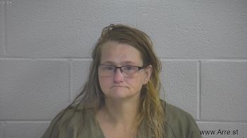 Melissa R Ballinger Mugshot