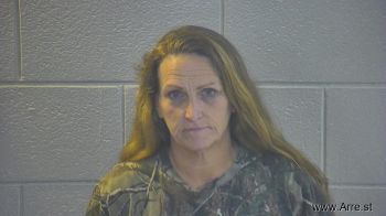 Melissa Ann Carpenter Mugshot