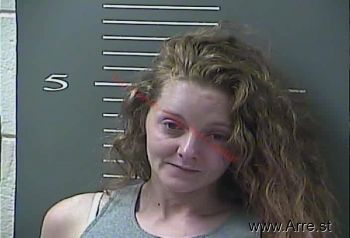 Melissa S Clark-lamb Mugshot