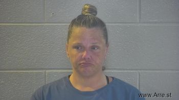Melissa Ann Climenhaga Mugshot