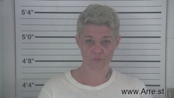 Melissa Kay Combs Mugshot