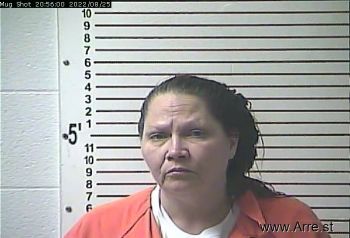 Melissa Ann Davis Mugshot