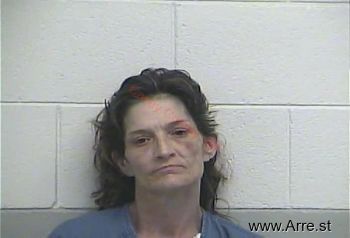 Melissa K Drake Mugshot