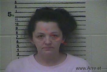 Melissa Ann Fields Mugshot