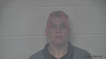 Melissa Ann Frampton Mugshot