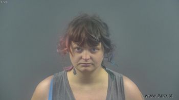 Melissa Dawn Haynes Mugshot