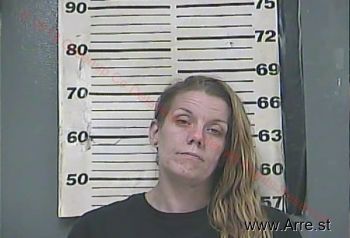 Melissa Ann Hogston Mugshot