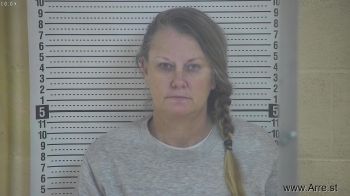 Melissa  Metcalf Mugshot