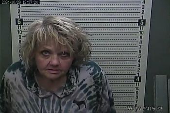 Melissa  Metcalf Mugshot