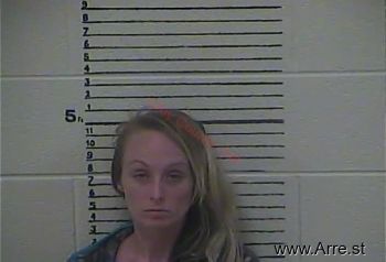 Melissa K Preston Mugshot