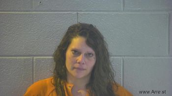 Melissa Marie Smith Mugshot