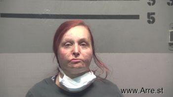 Melissa Ann Stegman Mugshot