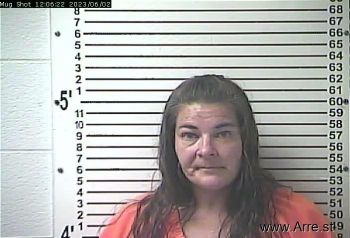 Melissa Anne Temple Mugshot