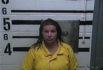 Melissa Anne Temple Mugshot