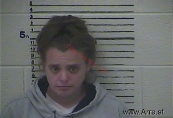 Melissa Ann Wise Mugshot