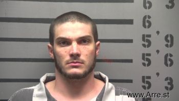 Michael Tyler Davidson Mugshot