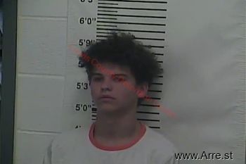 Michael J Lumpkins Jr. Mugshot