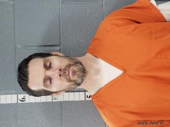 Michael Wayman Stout Mugshot