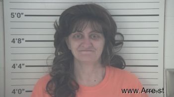 Michelle Lynn Akins Mugshot