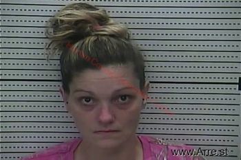 Michelle Lee Boring Mugshot