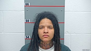 Michelle Rayshawn Campbell Mugshot